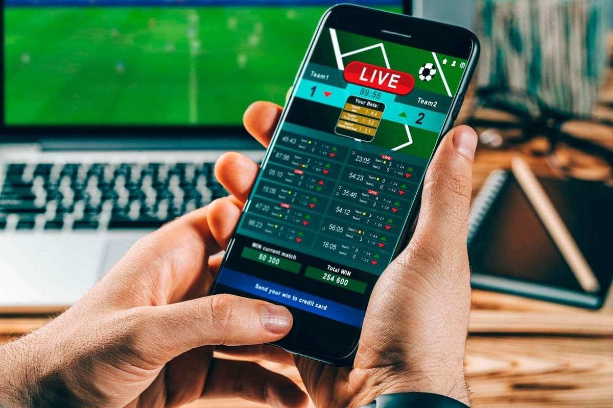 Essential Guide to New Brunswick Sports Betting: Legalities, Strategies, and More