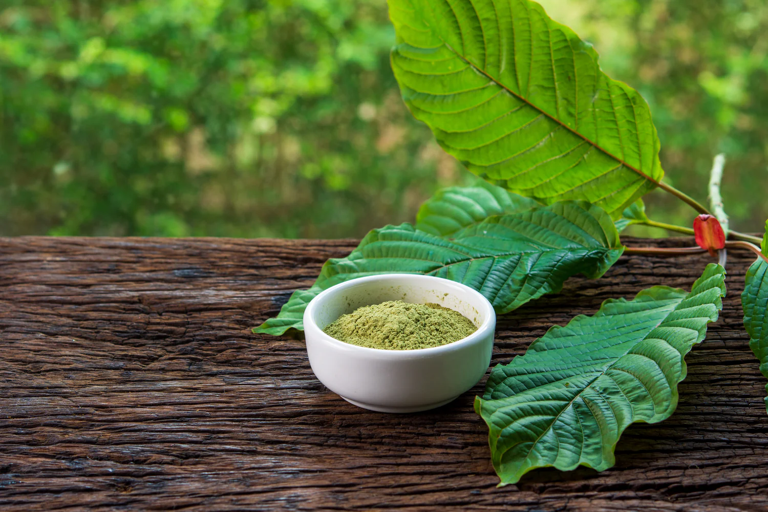 Kratom Tea Delivery Chiang Mai: Convenience Meets Quality