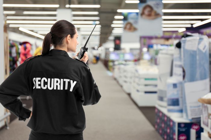 Flexible Mobile Patrols to Monitor and Protect Your Site