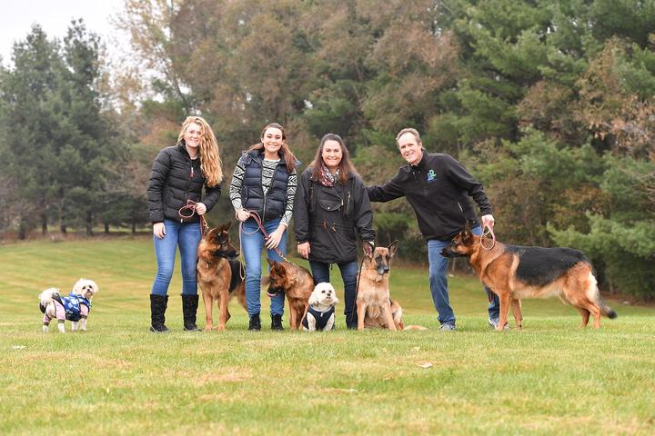 Dog Training Support Programs Arizona: Expert Guide